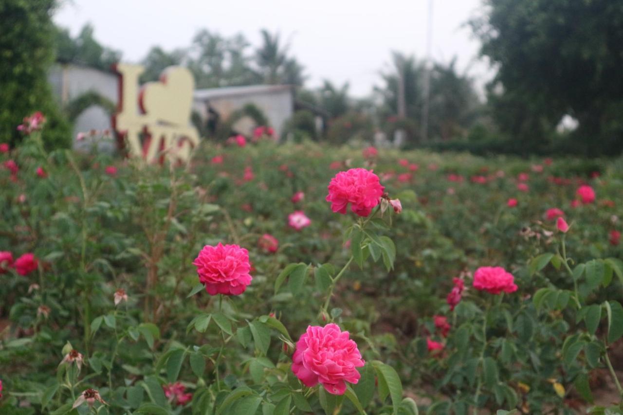 Sadec Farmstay - Khu Du LịCh Hoa KiẻNg Sa DéC Ap Khanh Nghia Buitenkant foto